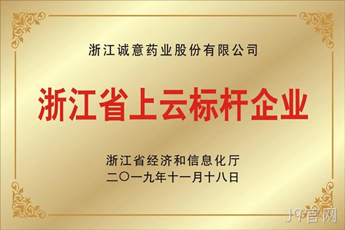 浙江省上云标杆企业